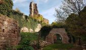 Tocht Stappen Grendelbruch - Grendelbruch - château de Guirbaden - châtaignes - Photo 16