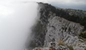 Tocht Noords wandelen Lans-en-Vercors - La Moucherotte - Photo 5