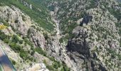 Trail Walking Villefort - Lac Villefort la Garde Guerin, lac de Villefort.(31-05-2020) - Photo 9