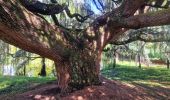 Tour Wandern Sceaux - Boucle autour du parc de Sceaux - Photo 12