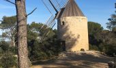 Excursión Senderismo Fontvieille - Fontvieille - Les moulins de Daudet - Photo 6