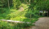 Randonnée Marche Gerpinnes - Balade dans le bois de Loverval - Photo 4