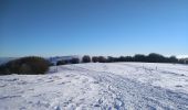 Tocht Sneeuwschoenen Bourbach-le-Haut - Sortie raquettes Hundsruck Belacker - Photo 3