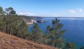 Excursión Senderismo Crozon - cap de la chèvre depuis maison des minéraux  - Photo 5