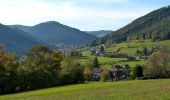 Trail On foot Baiersbronn - Satteleisteig - Photo 6