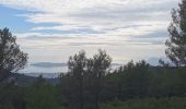 Trail Walking Toulon - Boucle Faron - Photo 5