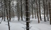 Randonnée Raquettes à neige Léoncel - echaillon 2021 - Photo 3