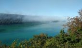 Tocht Stappen Marigny - Lac de Chalain Marigny 1 sept 2020 CAF - Photo 2