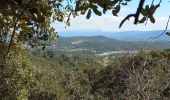 Excursión Senderismo Puyvert - Puyvert Cap de Serre - Photo 4