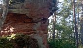 Trail Walking Bundenthal - baerensteig bruchweiler baerenbach - Photo 2