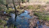 Tour Wandern Aywaille - ninglinspo . chefna . bois bablette - Photo 10