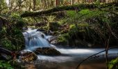 Tour Zu Fuß Vigo - Sendeiro Local de Zamáns - Photo 9