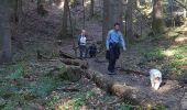 Percorso A piedi Saint-Gervais - Le Rivet ou la ferme des Ecouges - Photo 16