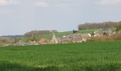 Excursión Bici de montaña Walcourt - Balade dans l'entité de Walcourt  - Photo 12