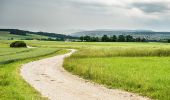 Tocht Te voet Litzendorf - Rundweg von Schammelsdorf zum Gügel - Photo 4