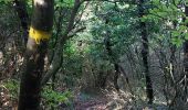 Randonnée Marche Espeluche - Espeluche : Le Bois Jamot 12km - Photo 6