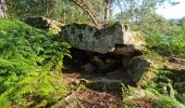 Randonnée Marche Fontainebleau - Fontainebleau sentier Denecourt 3 - Photo 6