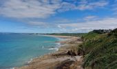 Tour Wandern Erquy - POINTE DE PLENEUF DEPUIS LE CAMPING LA VALLÉE  - Photo 7