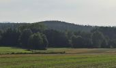 Excursión A pie Prudnik - Szlak Lasów Królewskiego Miasta Prudnika - Photo 7