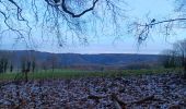 Tour Wandern Lüttich - autour du jardin et de l institut botanique - Photo 5