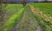 Trail Walking Wanze - Antheit 070125 - Photo 3