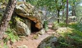 Tocht Stappen Fontainebleau - Fontainebleau sentier Denecourt 9 Est - Photo 16