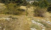 Trail Walking Saint-Vallier-de-Thiey - Montagne de Thiey - Photo 19