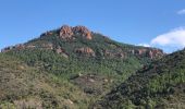 Tour Wandern Fréjus - Plan de l'Esterel depuis la Maison Forestière du Malpey - Photo 9