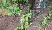 Tocht Stappen Arco da Calheta - Levada do 25 fontes - Photo 5