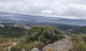 Tocht Stappen Aubagne - Le sentier du Scolopendre les pierres gravées  - Photo 2