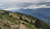 Tocht Trail Sarcenas - col de porte chamechaude - Photo 5