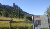 Tour Esel-Trekking Tuchan - cathare 3 Tuchan Duilhac sous peyrepertuse  - Photo 14