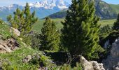 Randonnée Marche La Plagne-Tarentaise - Plagne Soleil, Plagne Centre par le Haut du télésiège du Colorado  - Photo 2