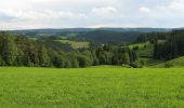 Trail On foot Hornberg - Auf Felsenwegen von Hornberg zu den Schlossfelsen - Photo 8