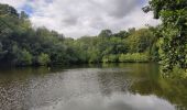 Randonnée Marche Clamart - Tour des etangs - Bois de Clamart et de Meudon - Photo 14