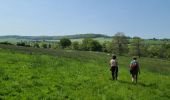 Randonnée Marche Plombières - hombourg - Photo 7