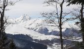 Tour Schneeschuhwandern Azet - st Lary voiture puis col d'Aspin en raquettes - Photo 6