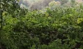 Trail Walking Valorbiquet - St Cyr du Ronceray-Tordouet-St Martin de Bienfaite-Cernay - Photo 3
