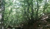 Tour Wandern Pont de Montvert - Sud Mont Lozère - Pont Lozère versant sud : beal de Felgerolles Pont du Tarn  - Photo 14