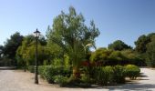 Tocht Te voet Vilanova i la Geltrú - Camí de Vilanova a Sitges - Photo 10