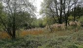 Randonnée Marche Blegny - Promenade du vendredi - Photo 12