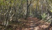 Trail  Moras-en-Valloire - Moras en valloire l’ecolline  - Photo 6