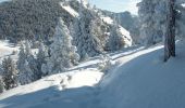 Randonnée Raquettes à neige Saint-Agnan-en-Vercors - Beure - Écondus - Photo 11