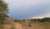 Trail Walking Montesquieu-des-Albères - montesquieu-des-alberes entre canaux, rivières et tech  - Photo 6