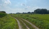 Tour Wandern Duffel - Duffel 22 km - Photo 13