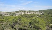 Trail Walking Salon de Provence - PF-Le Tallagard - Sentier des Abeilles - Photo 3
