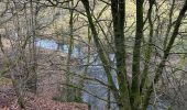 Trail Horseback riding Neufchâteau - Bois d’Ospot - Photo 3