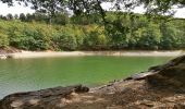 Excursión Senderismo Lac de la Haute-Sûre - Autour du lac D'Esch sur Sûre  - Photo 6