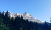 Tour Wandern Servoz - col et lac Anterne - Photo 17