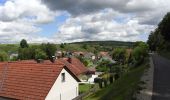 Tour Zu Fuß Altmannstein - Schambach Ursprungweg - Photo 2